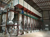 paddy parboiling process